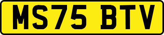 MS75BTV