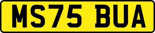 MS75BUA