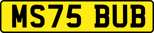 MS75BUB
