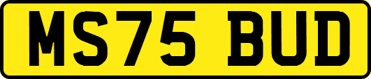 MS75BUD