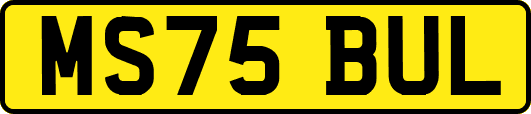 MS75BUL
