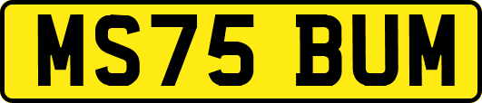 MS75BUM