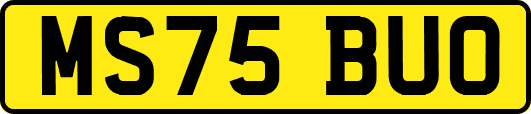 MS75BUO