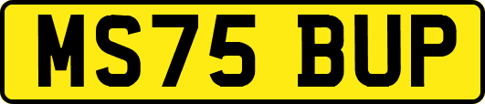 MS75BUP