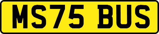 MS75BUS