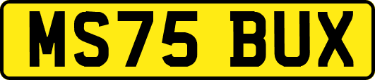 MS75BUX
