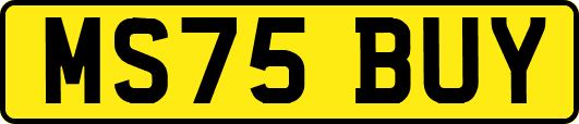 MS75BUY