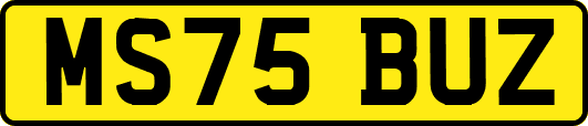 MS75BUZ