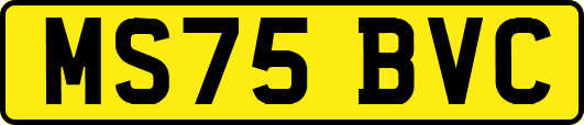 MS75BVC