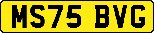 MS75BVG