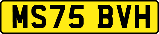 MS75BVH