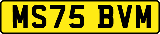 MS75BVM