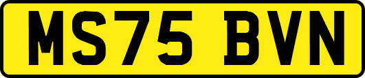 MS75BVN