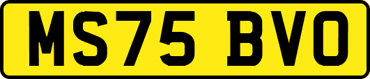 MS75BVO