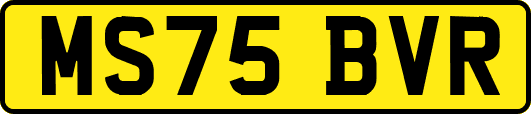 MS75BVR