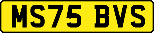 MS75BVS
