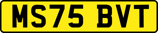 MS75BVT