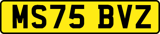 MS75BVZ