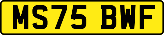 MS75BWF