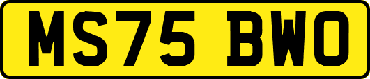 MS75BWO