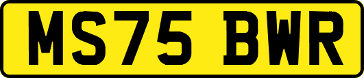 MS75BWR