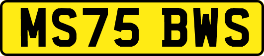 MS75BWS