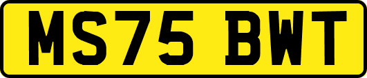 MS75BWT