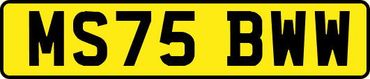 MS75BWW