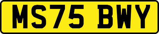 MS75BWY