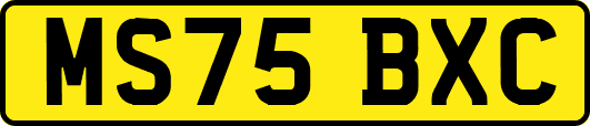 MS75BXC