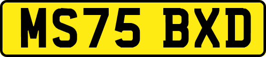 MS75BXD