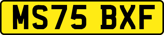 MS75BXF