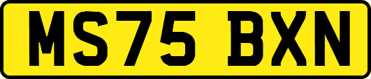 MS75BXN