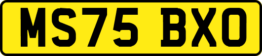 MS75BXO