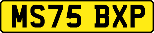 MS75BXP