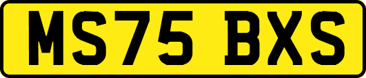 MS75BXS