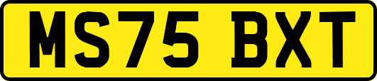 MS75BXT