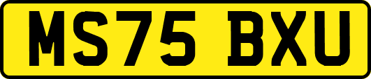 MS75BXU