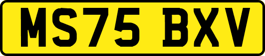 MS75BXV