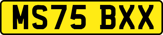 MS75BXX