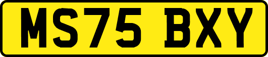 MS75BXY