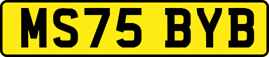 MS75BYB