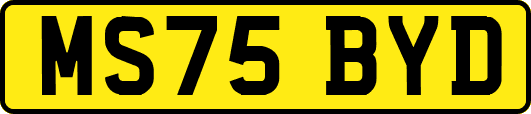 MS75BYD