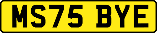 MS75BYE
