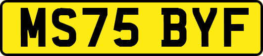 MS75BYF