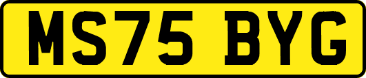 MS75BYG