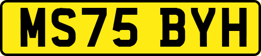 MS75BYH