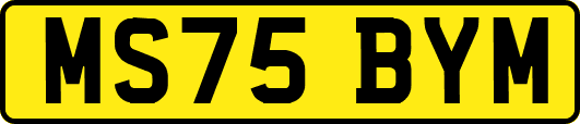 MS75BYM