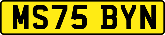 MS75BYN