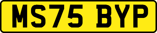 MS75BYP
